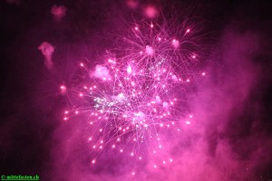 MiFa 2017 J Engeli 0085