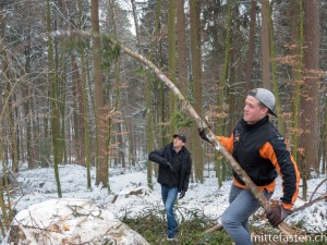 Mifa18 1Holzsammeln SE 0027